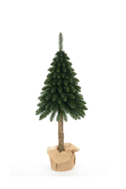 Vianočný stromček jedľa na pni 160 cm