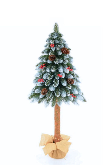 Vianočný strom Jedľa šišky na pni 180 cm