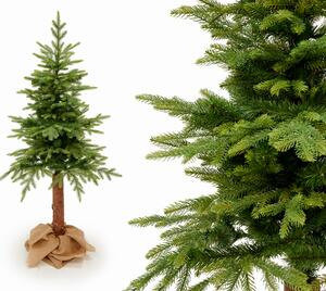 Vianočný strom Smrek Alaska na pni 120 cm