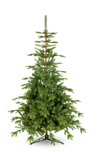 Vianoč. strom smrek škandinávsky