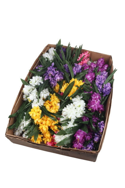 Kytica protea x 5
