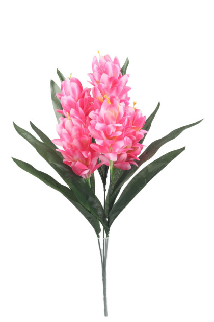 Kytica protea x 5
