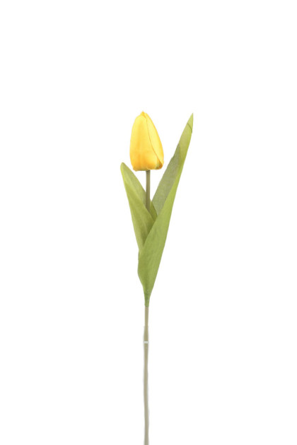 Tulipán ks 40 cm