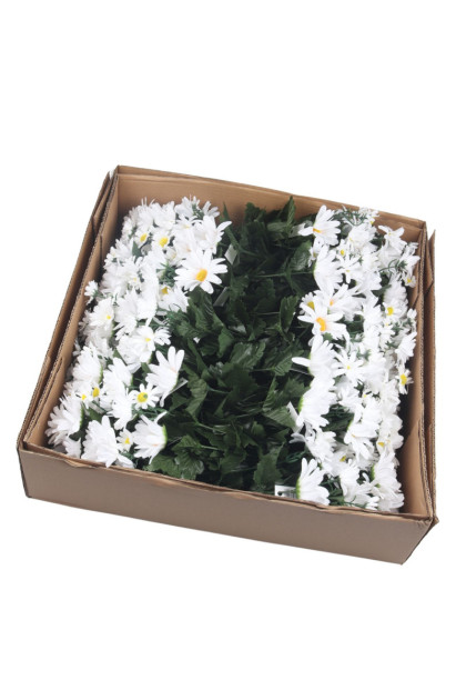 Kytica margarétka x 24