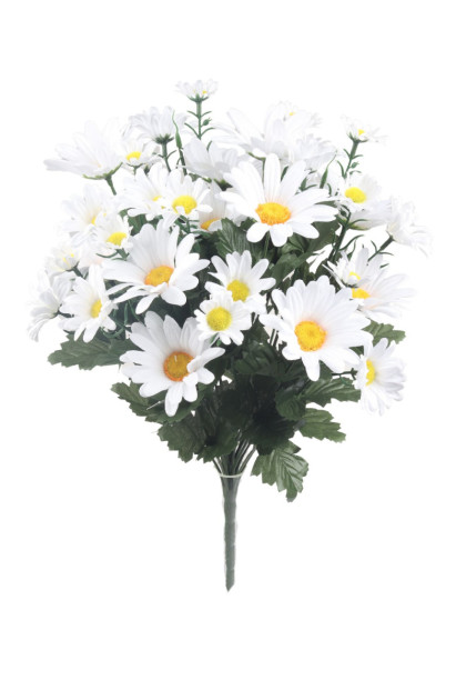 Kytica margarétka x 24