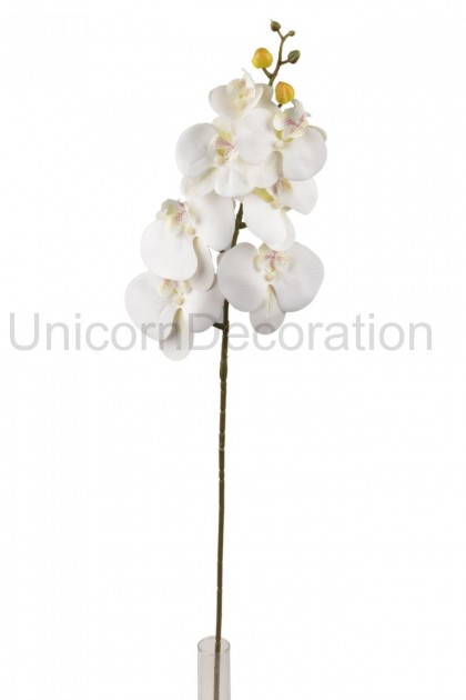 Orchidea ks guma 90cm