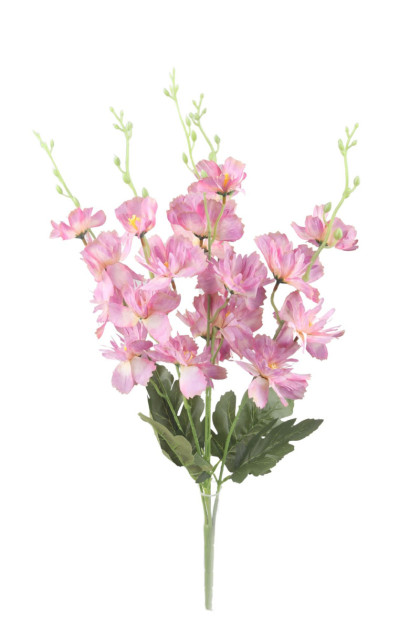 Kytica orchidea x 5