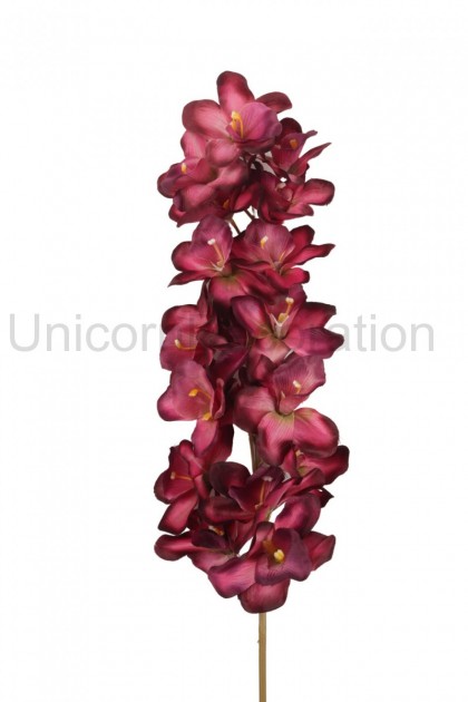 Orchidea 18 kvet. ks