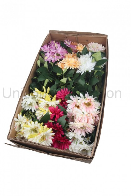 Kytica gerbera x 12
