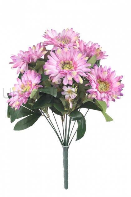 Kytica gerbera x 12