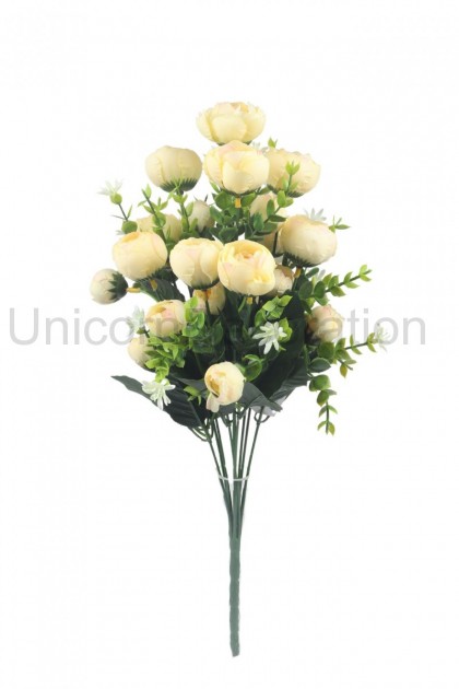 Kytica ranunculus x10