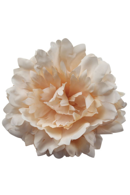 Peónia hlava 14 cm