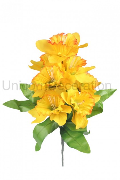 Kytica narcis x 9