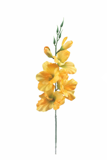 Gladiola  satén 