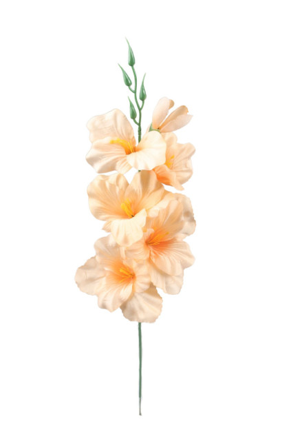 Gladiola  satén 