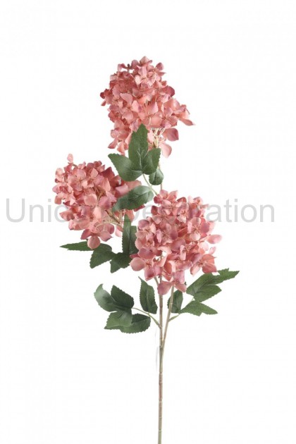 Hortenzia x 3 ks