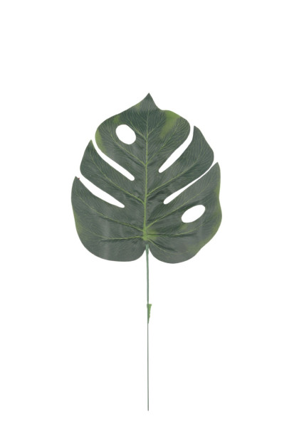 List monstera