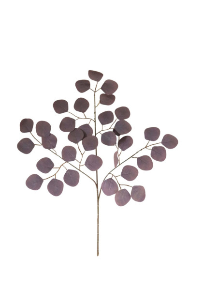 List eukalyptus ks