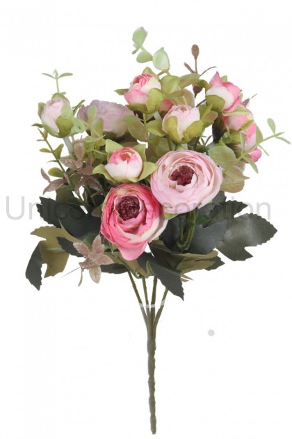 Kytica ranunculus x 5
