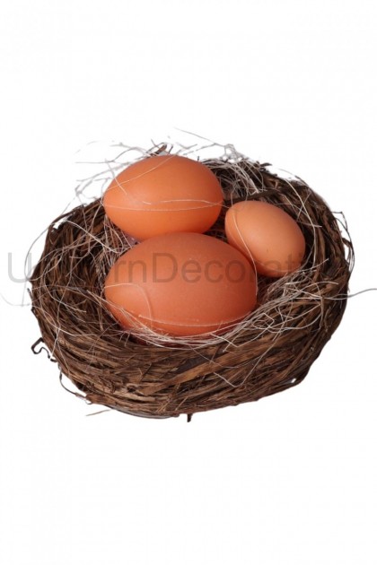 Hniezdo s vajíčkami