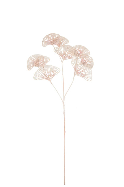 Ginko x 3 /ks
