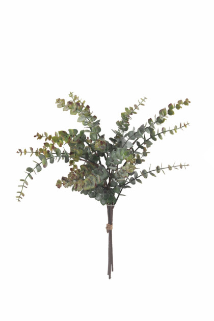 Kytica eukalyptus x 4