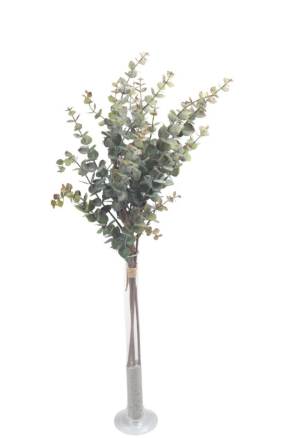 Kytica eukalyptus x 4