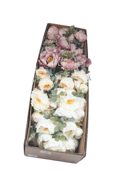 Kytica peonia x 11
