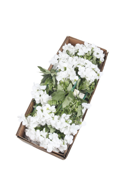 Hortenzia pik