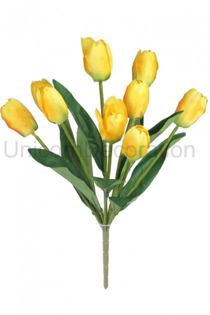 Kytica tulipán x 9