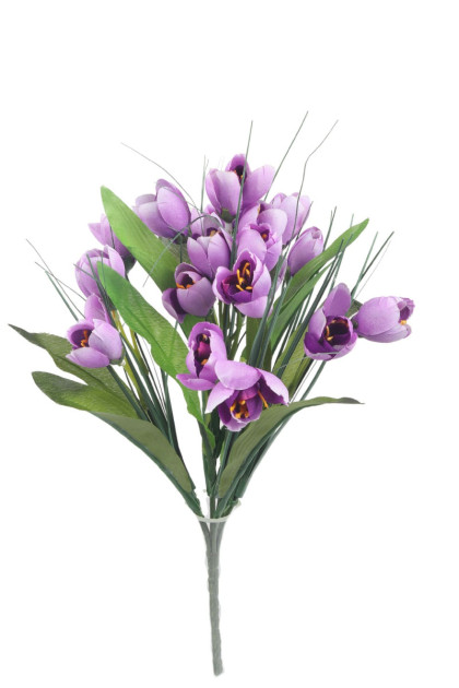 Kytica krokus x 7 