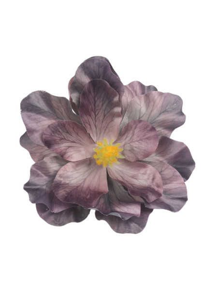 Magnolia hlava  3D 