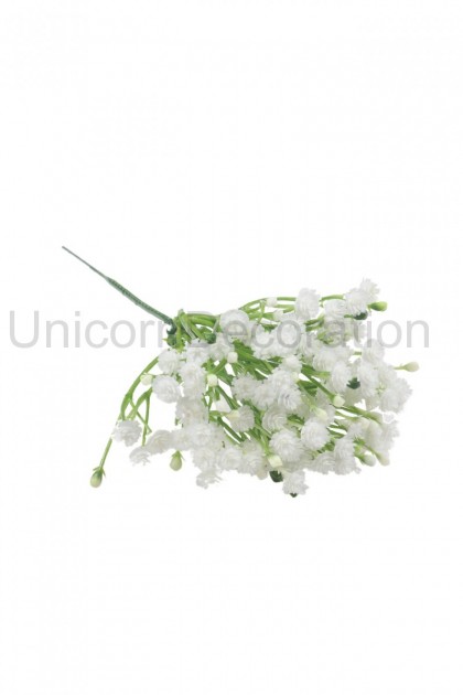 Gypsophila pik