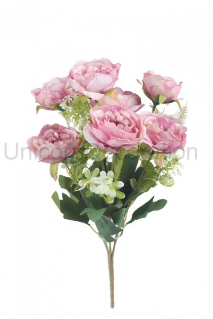 Kytica peonia x 7