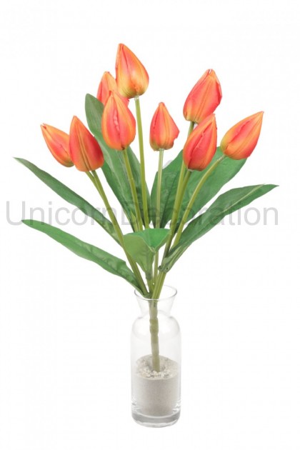 Kytica tulipán x9