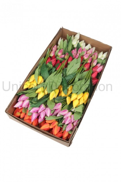 Kytica tulipán x9