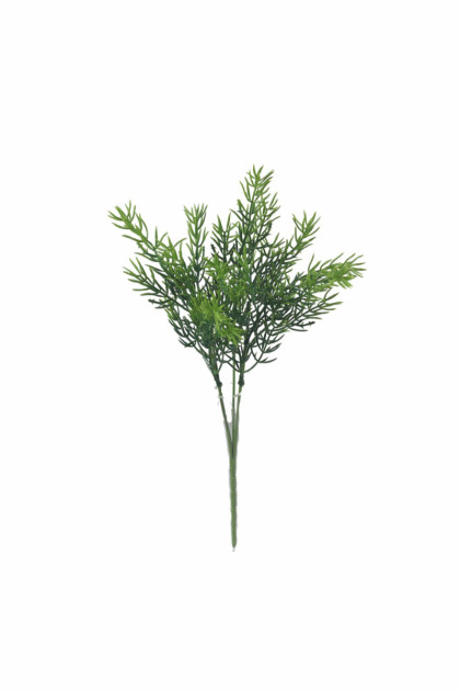Trs asparát 35 cm