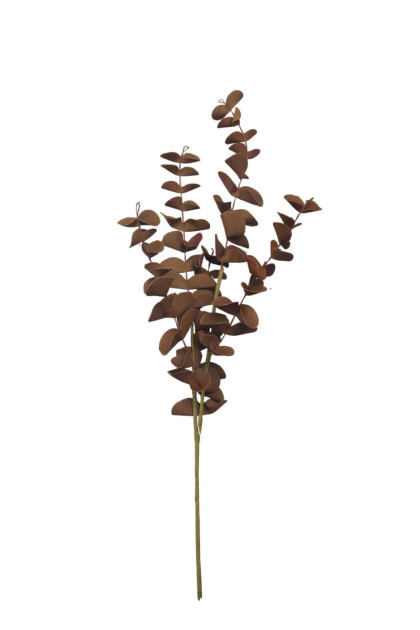 Kytica eukalyptus x 5 / pena
