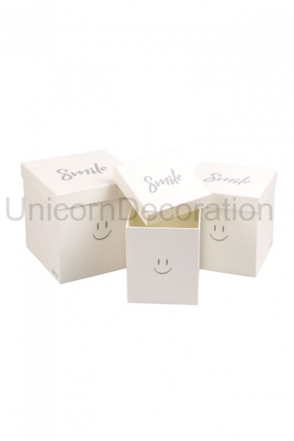 Flower box Smile 3set