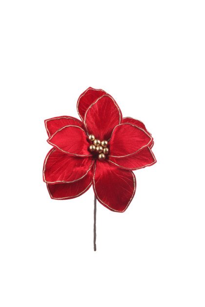 Magnólia  -pik  vianočný