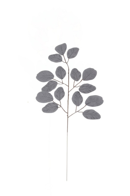 List eukalyptus ks
