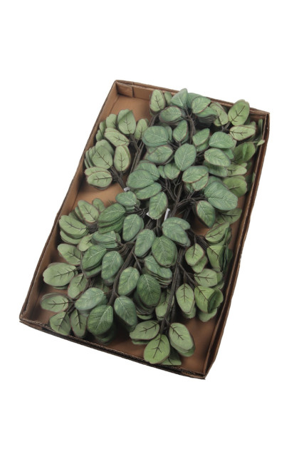 List eukalyptus ks