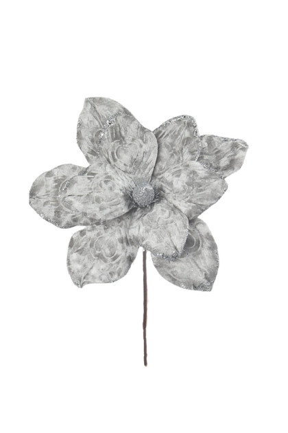 Magnólia -  pik vianočný