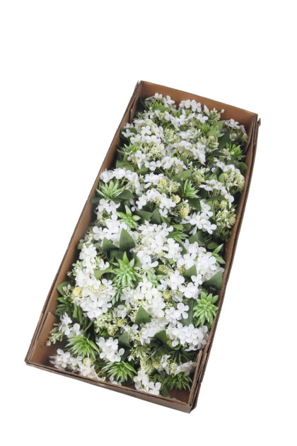 Kytica hortenzia x 12 