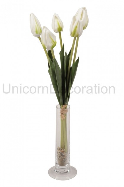 Kytica tulipán x5 