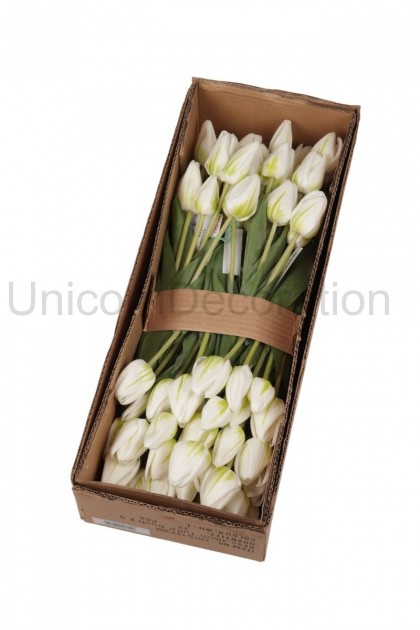 Kytica tulipán x 5 