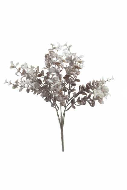 Kytica eukalyptus x 5 / flok. (semišovaná)