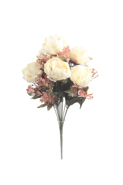 Kytica peonia x 13