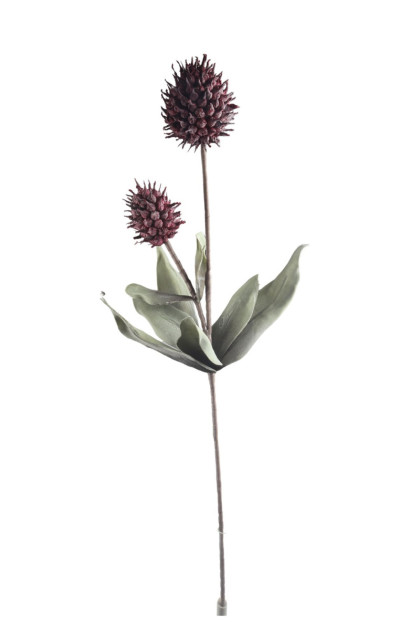 Kvet pena (112cm)