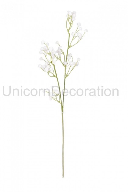 Gypsophila x 24